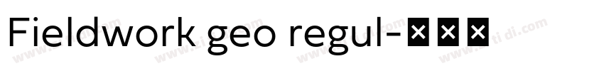 Fieldwork geo regul字体转换